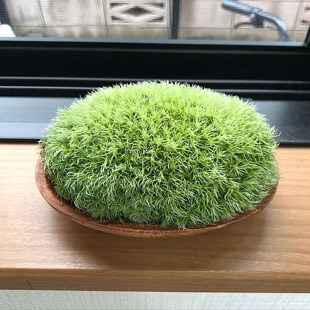 annaさんの実例写真