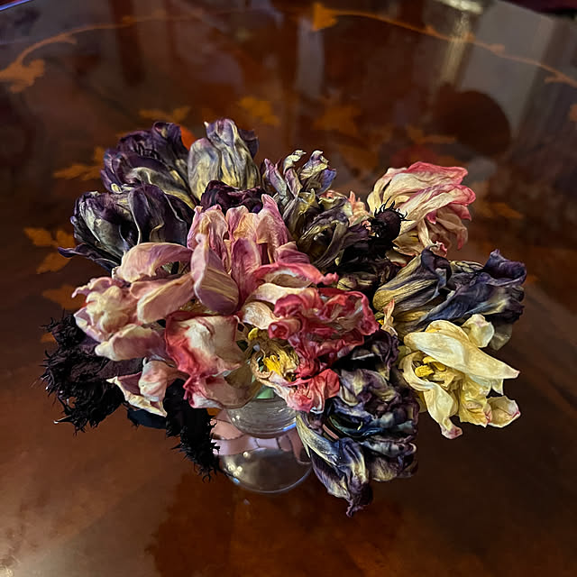 AYUKOさんの部屋