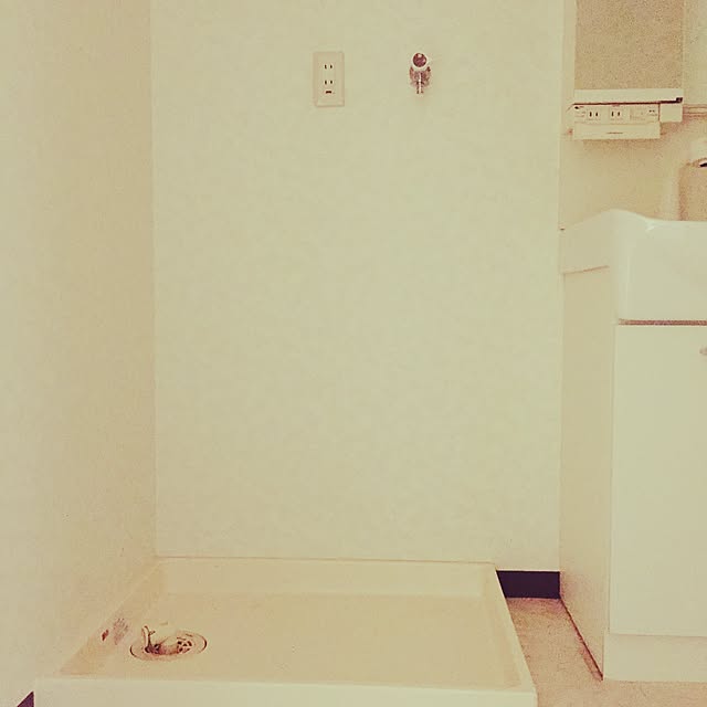 PePeさんの実例写真