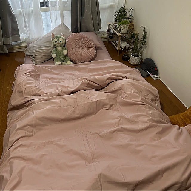 kinushimaさんの実例写真