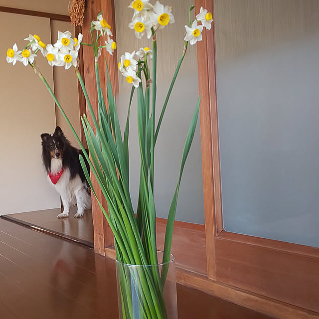 --rnrmm--さんの実例写真