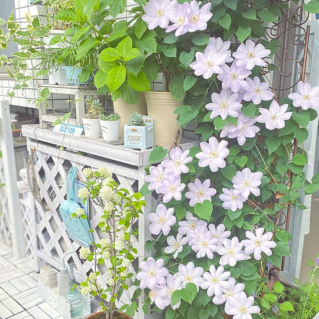 rieさんの実例写真