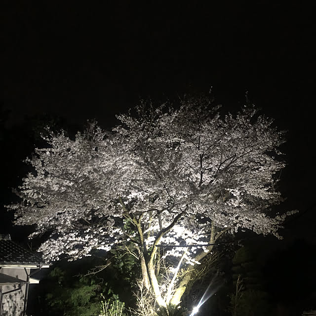 sakakenさんの実例写真