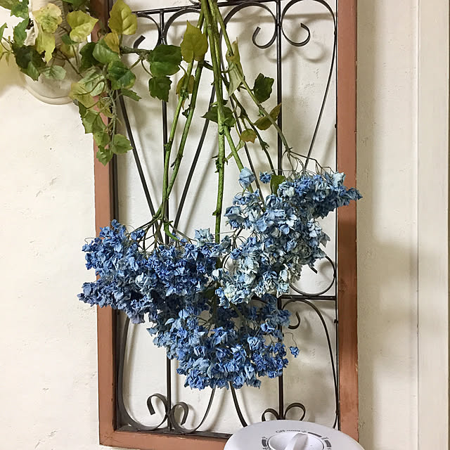 Naomiさんの実例写真