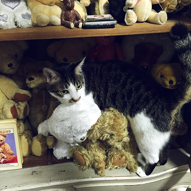 yuchiさんの実例写真