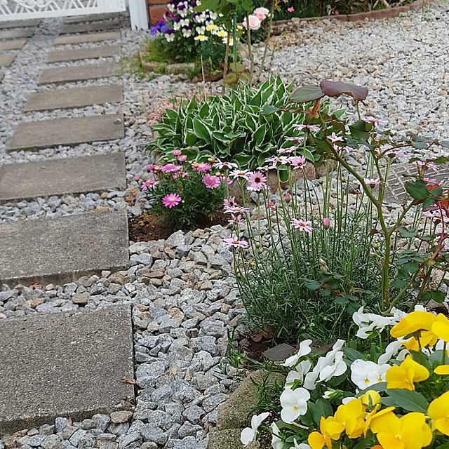 fleur-mamanさんの実例写真