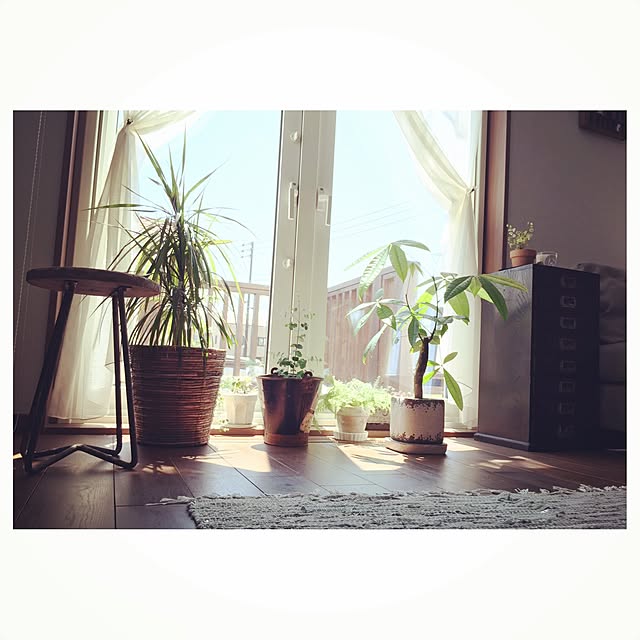 Ranさんの実例写真
