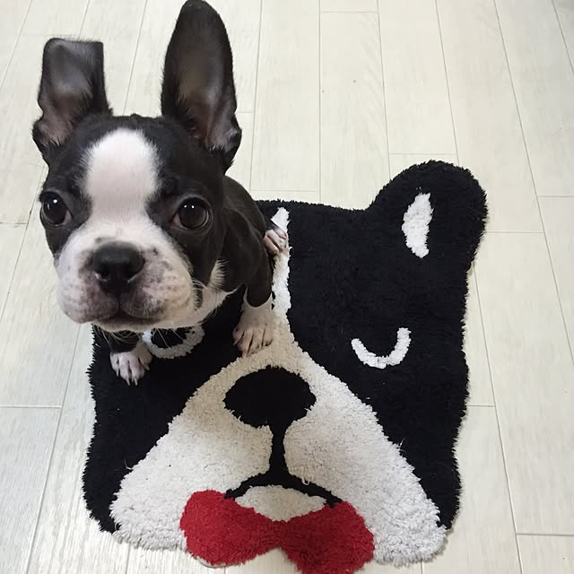 kurumeruさんの実例写真