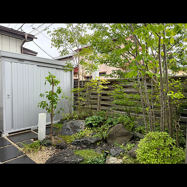 tamabaka1971さんの部屋