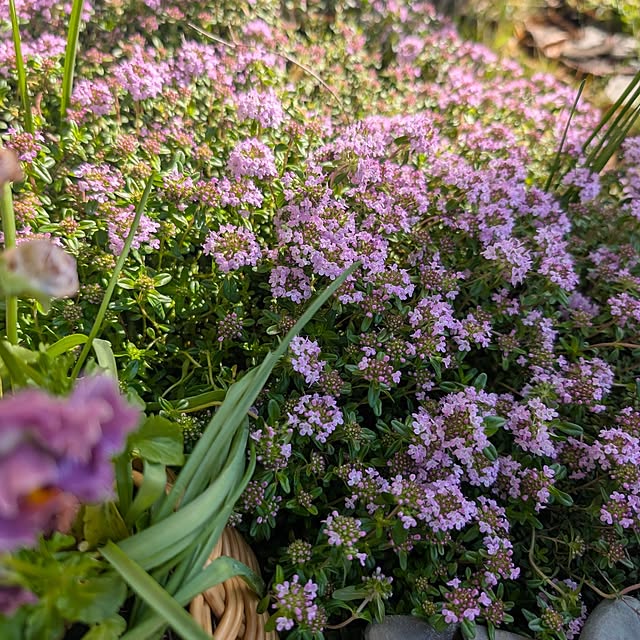 yumimitoatamaloveさんの実例写真