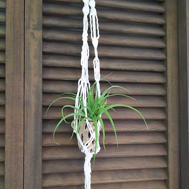 Kiyoeさんの実例写真