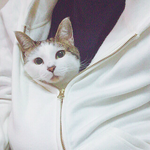 akikoさんの実例写真