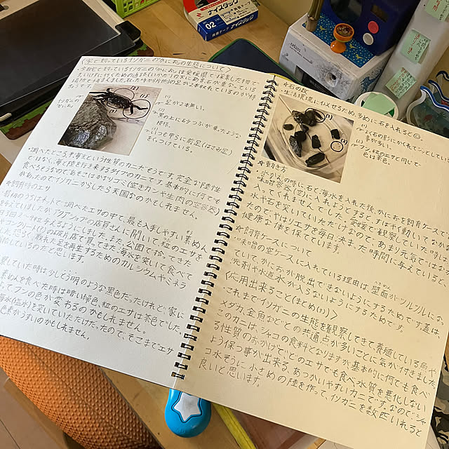 koshiregutyoさんの部屋