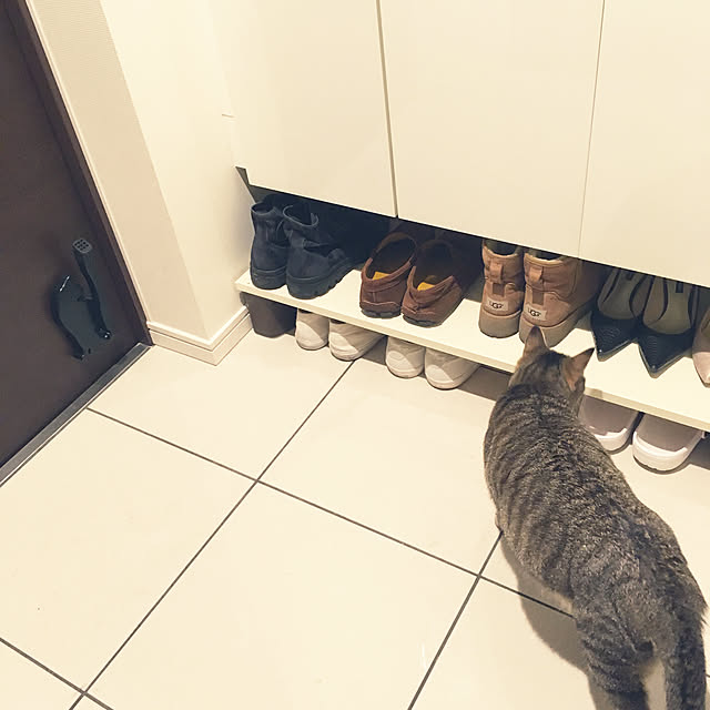 mikomaruさんの実例写真