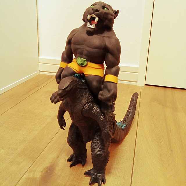 sinzowさんの実例写真