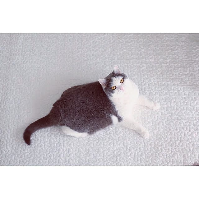 yunさんの実例写真