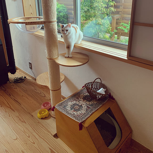 tarvi_meriさんの実例写真