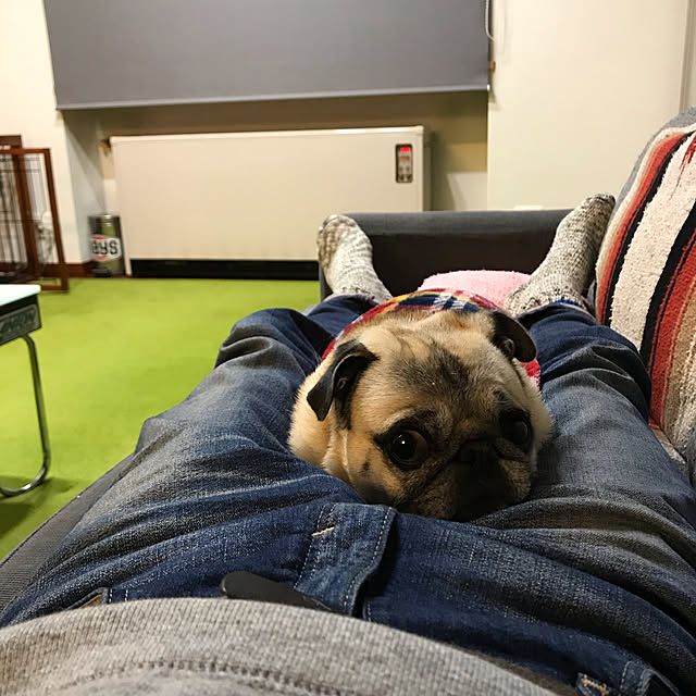 kellyさんの実例写真