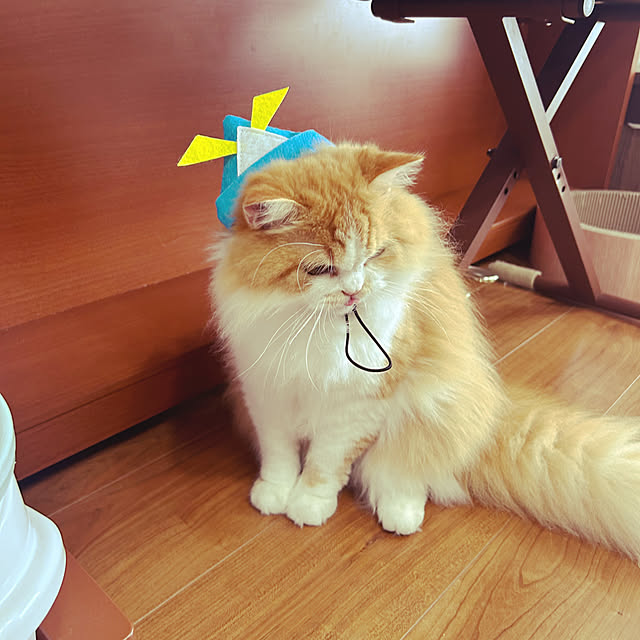 junさんの部屋