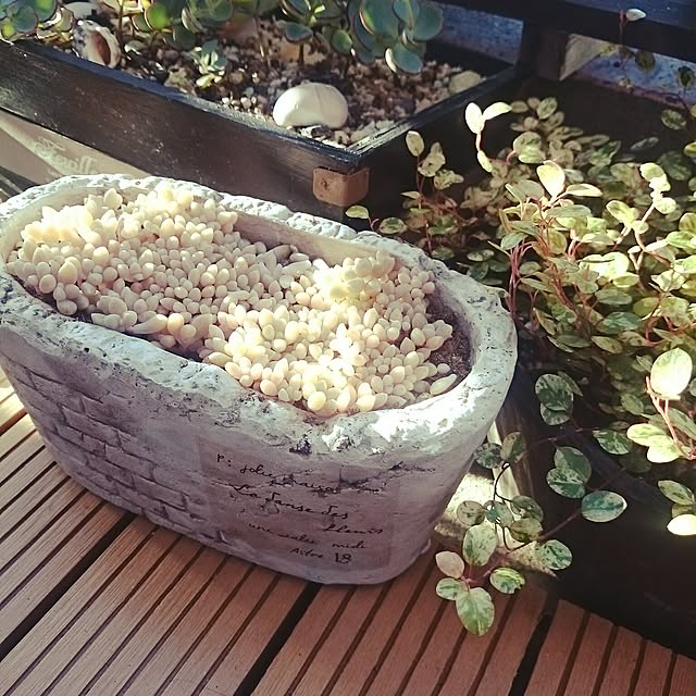 ripさんの実例写真
