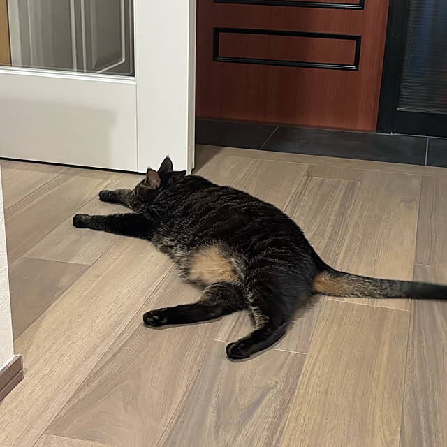 momocchiさんの部屋