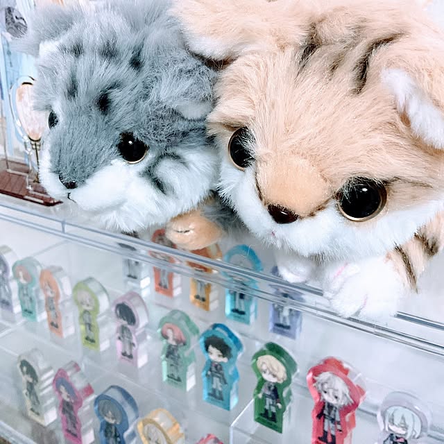 nanae-lowellさんの部屋