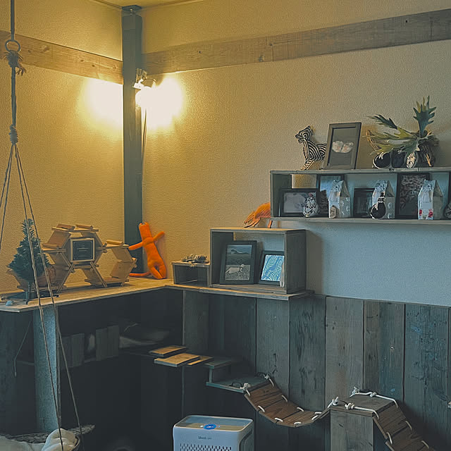 cocoeveさんの部屋