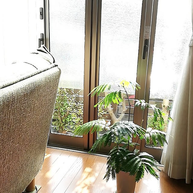 kotoripさんの実例写真