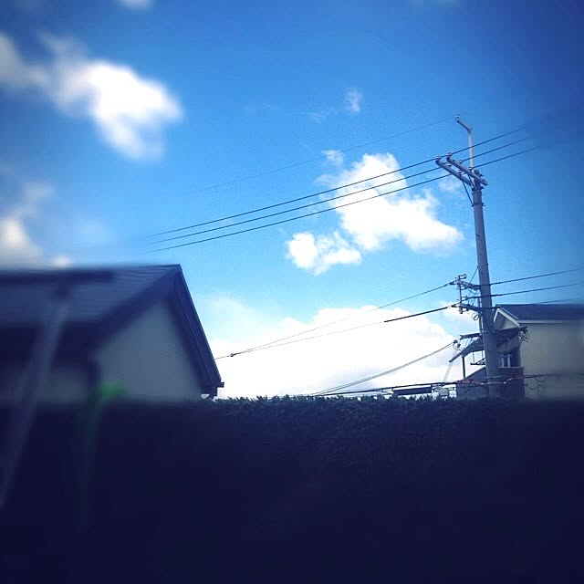 sacさんの実例写真