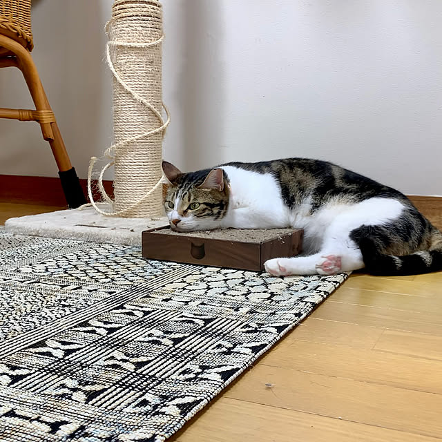 h0a4r1u3chiさんの実例写真