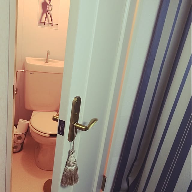 uniさんの実例写真