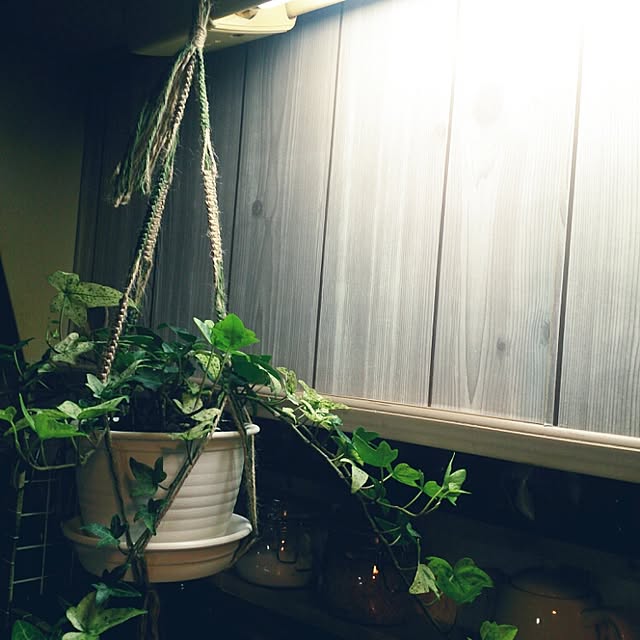 miporin0711さんの実例写真