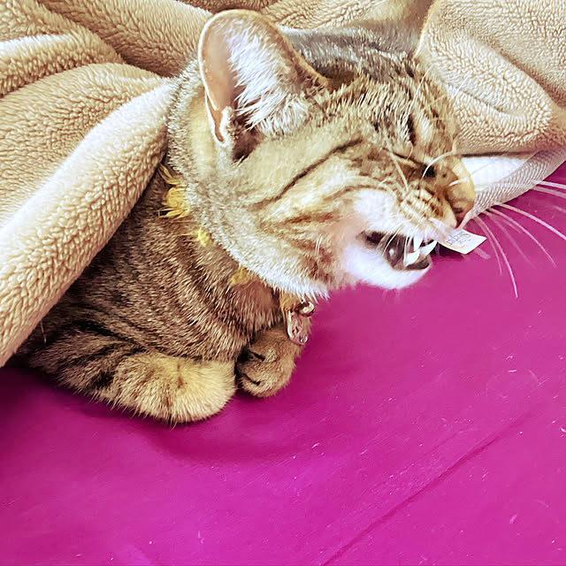 Mさんの実例写真