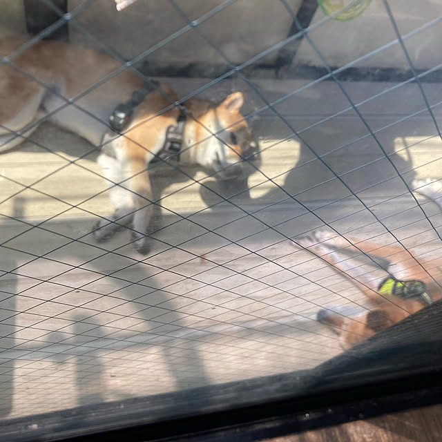 luckyさんの実例写真