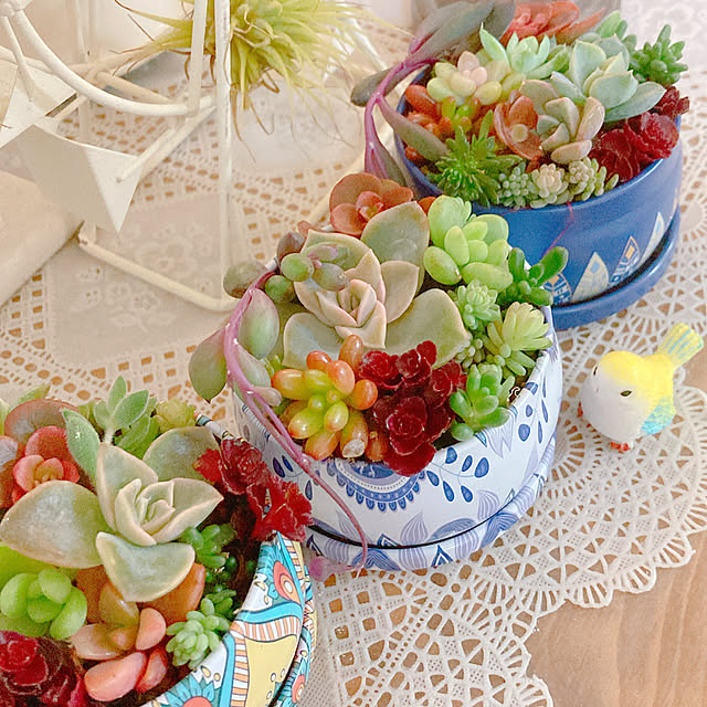 Hanakaさんの部屋