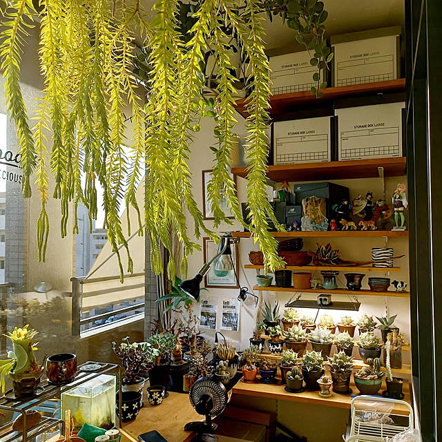 Rさんの実例写真