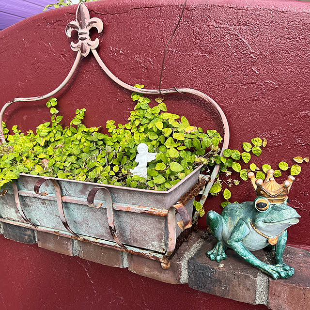 AYUKOさんの実例写真