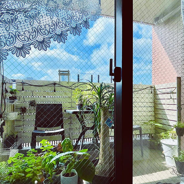 funiさんの実例写真