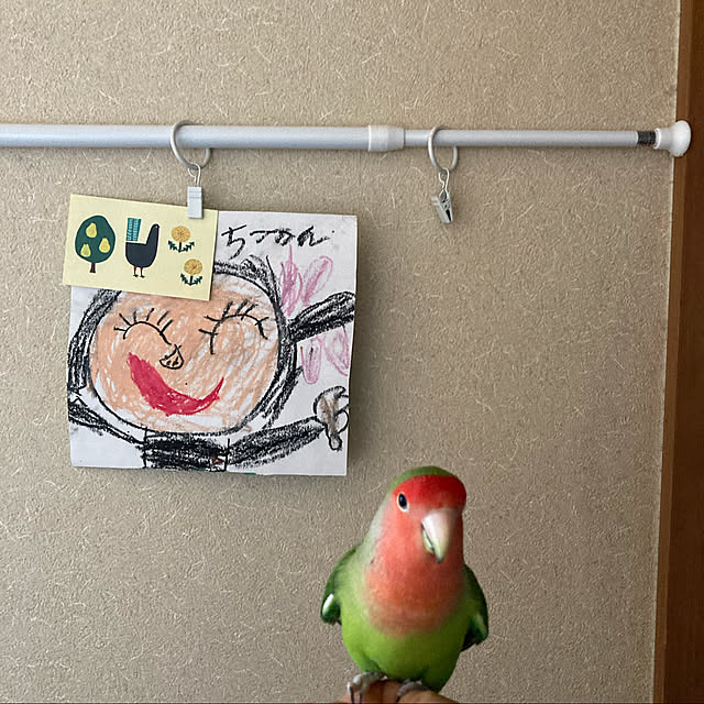 toratanさんの実例写真