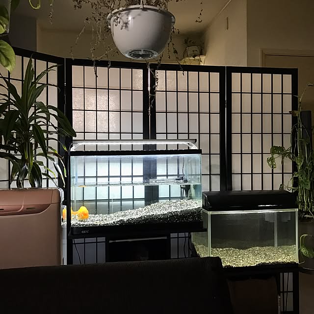 Takashiさんの実例写真