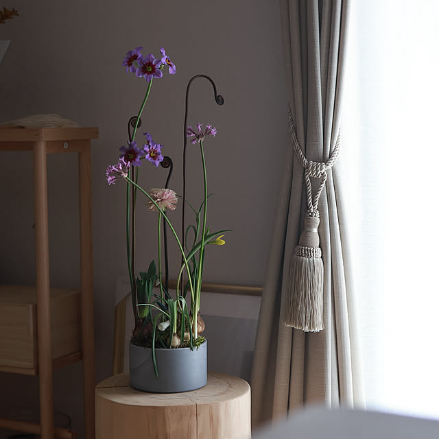 Summerさんの実例写真