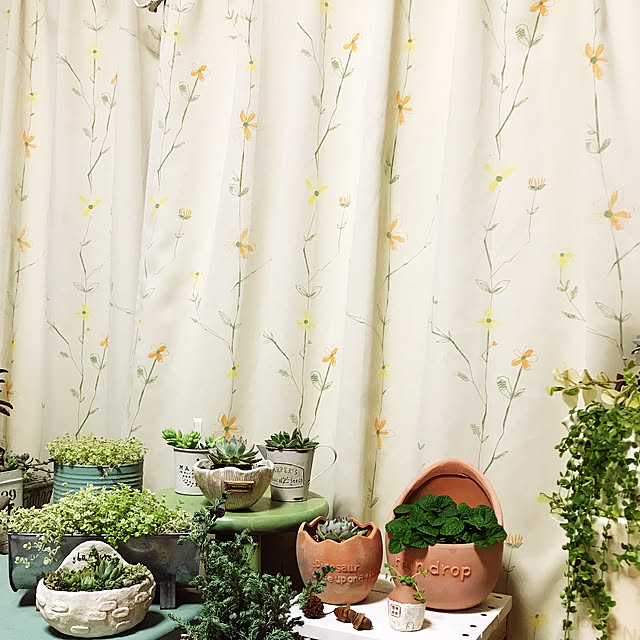 soraさんの実例写真