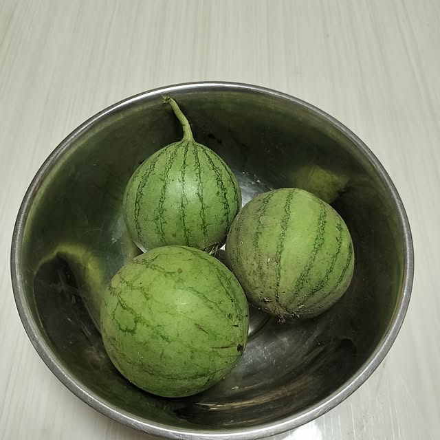 sumimarumiさんの部屋