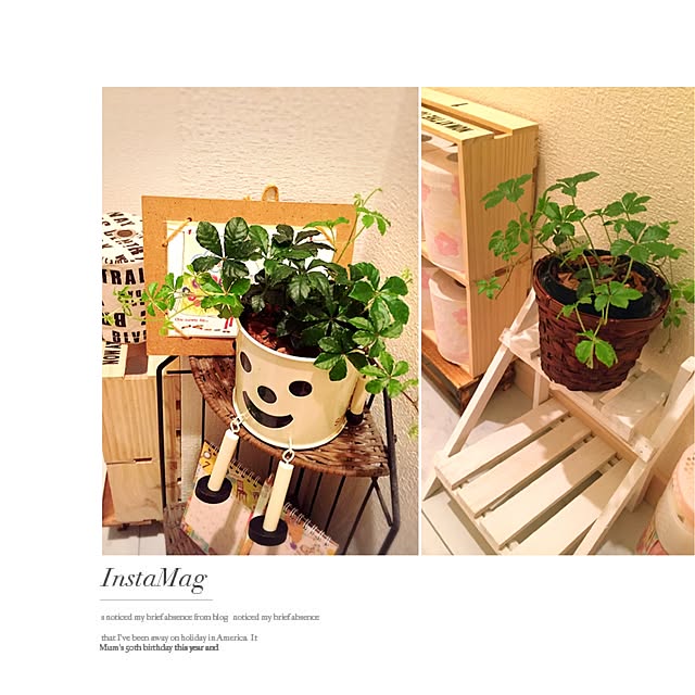 pukopuko655さんの実例写真
