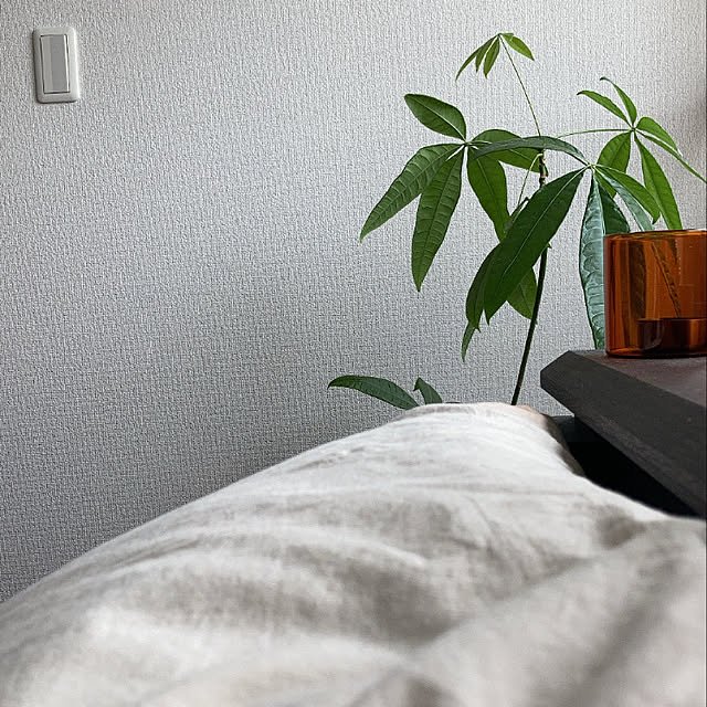 331_yotsuさんの実例写真
