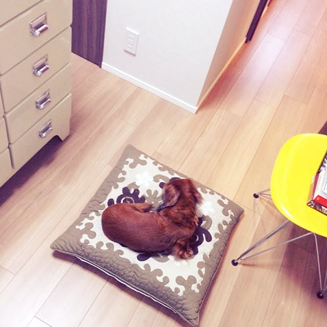 NECCOさんの実例写真