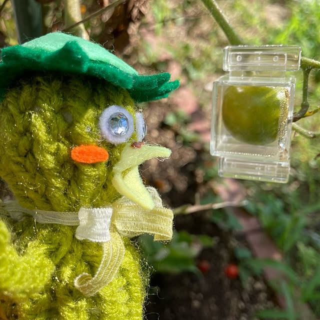 manduonmaさんの実例写真