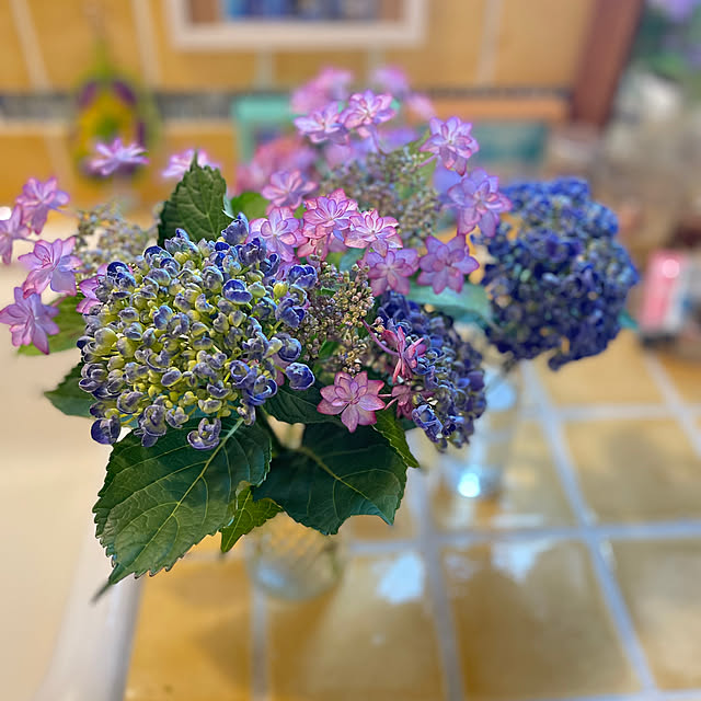 juniさんの部屋