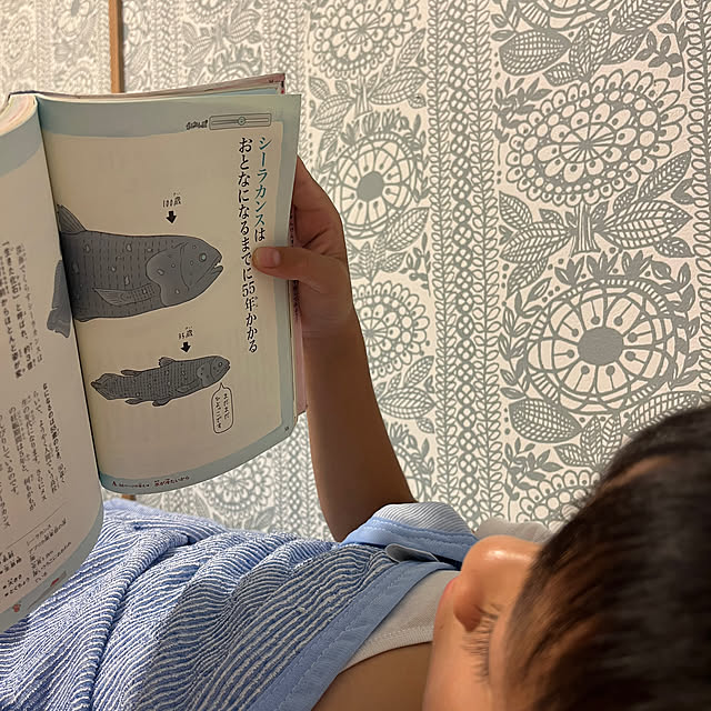 amさんの実例写真