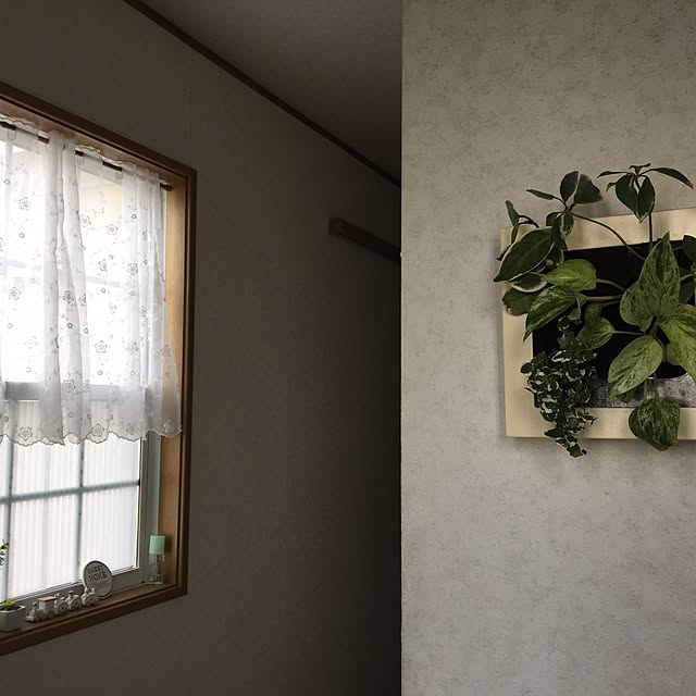 azukiさんの実例写真